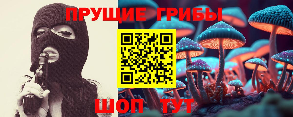 Сегежа  Галлюциногенные грибы ЛСД  Вход с VPN 
